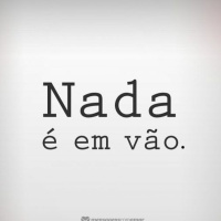 NADA É EM VÃO - Por Soraia Trino