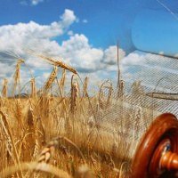 Celebração de Shavuot - Marcos Vinicus