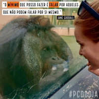 [Retrospectiva 2019] Minha experiência no Zoológico de São Paulo