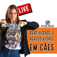 [LIVE] Aula Ao Vivo sobre Reatividade e Agressividade em Cães