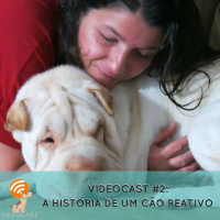VIDEOCAST #2: A história de um cão reativo