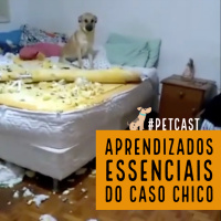 O Caso Chico e a Destruição dos Cães