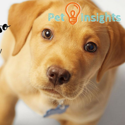 Petcast - Tudo Sobre Educação Canina