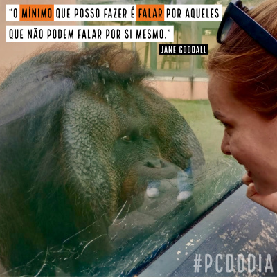 Petcast - Tudo Sobre Educação Canina