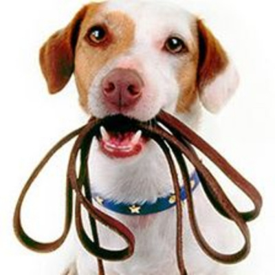 Petcast - Tudo Sobre Educação Canina