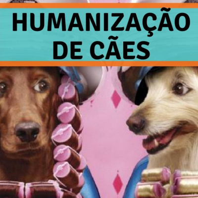 Petcast - Tudo Sobre Educação Canina