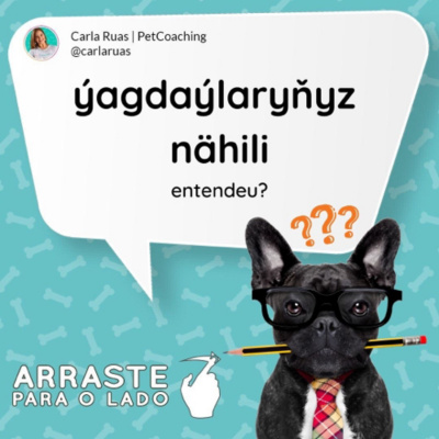 Petcast - Tudo Sobre Educação Canina
