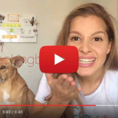 Petcast - Tudo Sobre Educação Canina