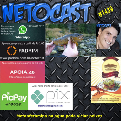 Netocast - José Castanhas Neto