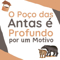 230 | O Poço das Antas é Profundo por um Motivo