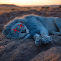 A Lions Lament – January 19, 2025