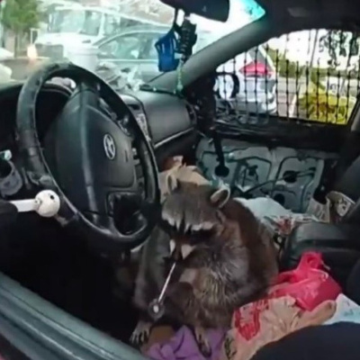 Drew And Mike Podcast