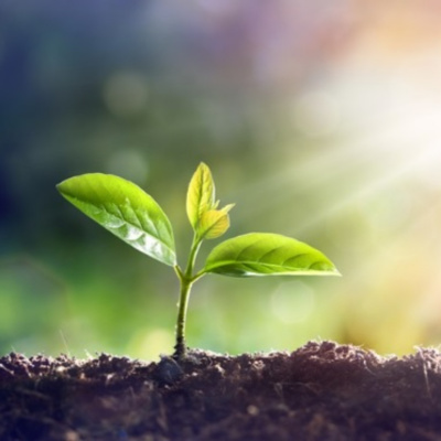 Podcast - Viviane Freitas