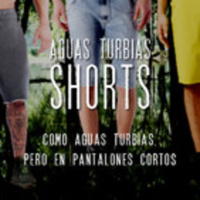 Aguas Turbias Shorts 04