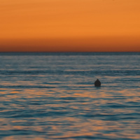 Esperança quando as águas inundam tudo - Amanda Valadares - Culto da Vitória [09.07.2025]