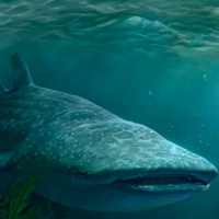 O crente desobediente - Pr. Rimack Almeida - Culto de Adoração [04.06.2023]