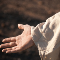 Não estamos sozinhos, Jesus nos dá descanso!- Culto da Vitória [18.12.2024]