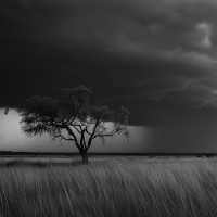 O Dia Mau - Pr. Rimack Almeida - Culto de Adoração [15.09.2024]