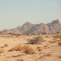 O sermão do diabo - Sydney Reis - Culto da Vitória [12.05.2024]