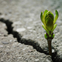 Oração muda a história da vida - Pra. Viviene Oliveira - Culto da Vitória [01.02.2023]