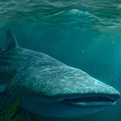 Igreja Batista Moriá