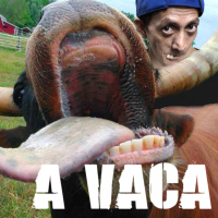 A VACA