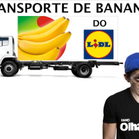 CAMIONISTA PARA CAMIÃO DE BANANAS DO LIDL 