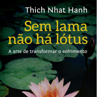 #612 Enrosco. Meditação Compassiva. Sem Lama Não Há Lótus, ep.10