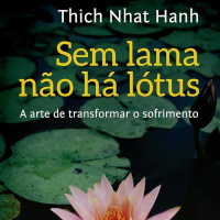 #603 Enroscos. Seis Mantras de Presença. Sem Lama Não Há Lótus, ep.08