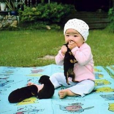 Dragon Ball Movie Club