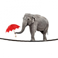 Humor - Zapp Ingles Vocabulario y Pronunciacion 3.6