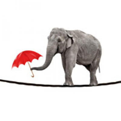 Zapp! Inglés Vocabulario Y Pronunciación