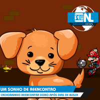 Nintendo POWdcast #161 – POWdnews: Relatório Fiscal (Q4/2021), Totós Virtuais, Sheiks e muito mais.