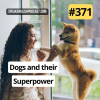 #371 Dogs and their superpower
