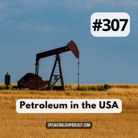 #307 Petroleum in the USA