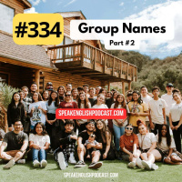 #334 Funny Group Names - Collective Nouns 2
