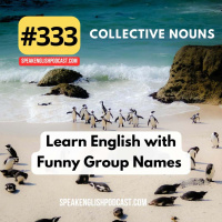 #333 Collective Nouns - Learn English with Funny Group Names