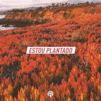 Estou plantado