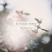 Nutrindo minha promessa