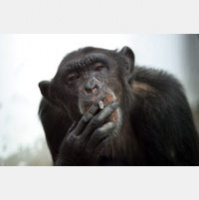 Fumar: Conversacion en ingles