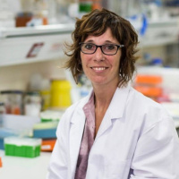 Epigenética, malaria e investigación, con Elena Gómez-Díaz