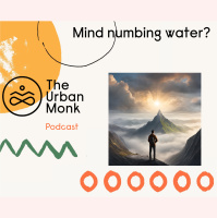 The Pineal Connection From Fluoride to Spiritual Zombies - Urban Monk Podcast
