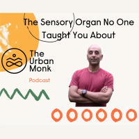 Fascia: The Sensory Organ No One Taught You About