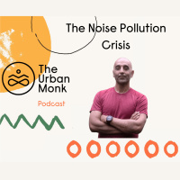 The Noise Pollution Crisis