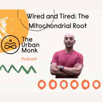 The Mitochondrial Root of Being Wired and Tired