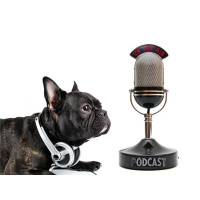 The Best of The Best: Independent Underground Radio LIVE in 2014-12/31 @ 9pmET