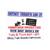 Independent Underground Radio LIVE - Michigans Progressive Talk 2/19 @ 9pm ET