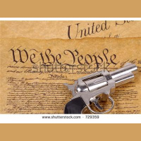 Gun Control in America Michigan GOP Return to 19th Century