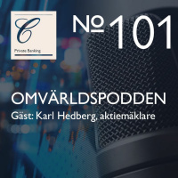 #101 Marknadsläge och råd till aktieintresserade investerare