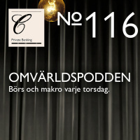 #116 Bolag och sektorer för portföljen